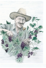 George Jess - Grape Picture